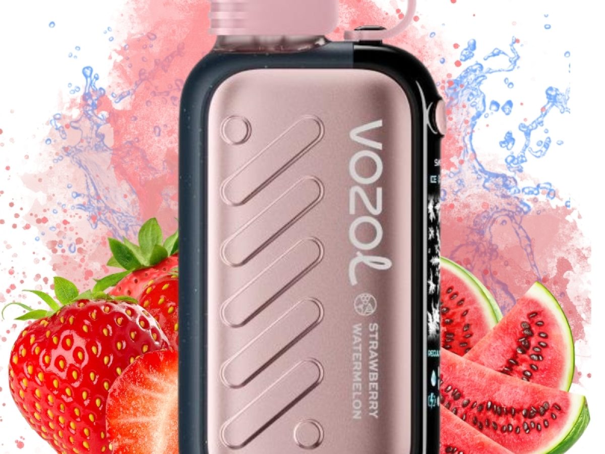 elfbar elfa kaufen Kaufen Vozol Gear Ice & Sweet 50000 Strawberry Watermelon | 3-5 Tage  Lieferung