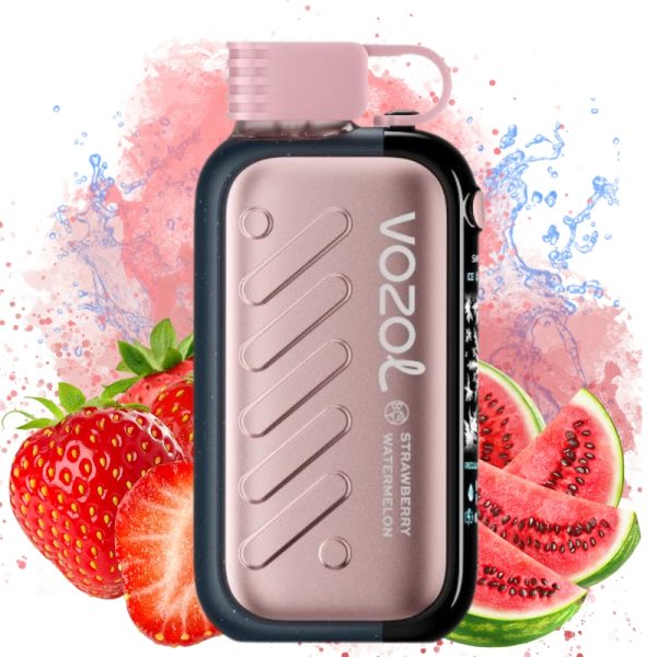 elfbar elfa master akku Vozol Gear Shisha 25000 puff 5%