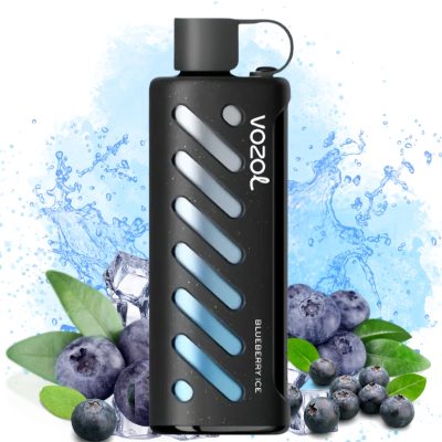 blueberry ice vozol 25k Kaufen Vozol Gear Shisha 25000 Blackberry Ice Geschmack | 3-5 Tage  Lieferung