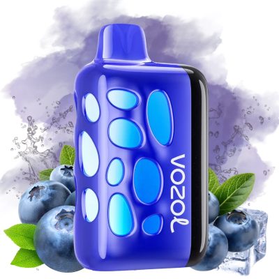 Kaufen Vozol Rave 40000 Blueberry Ice geschmack | 3-5 Tage Lieferung | Vozol  Deutschland