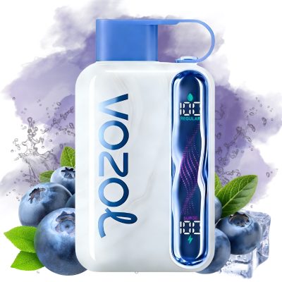 elfbar elfa master akku Kaufen Vozol Star 40K Blueberry Ice Geschmack | 3-5 Tage Lieferung