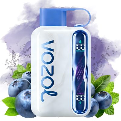 Kaufen Vozol Star 40000 Blueberry Mint Geschmack | 3-5 Tage Lieferung