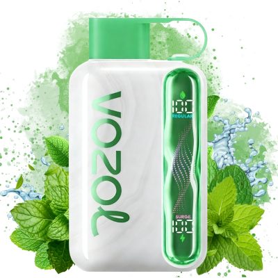 Kaufen Vozol Star 40000 Blueberry Mint Geschmack | 3-5 Tage Lieferung
